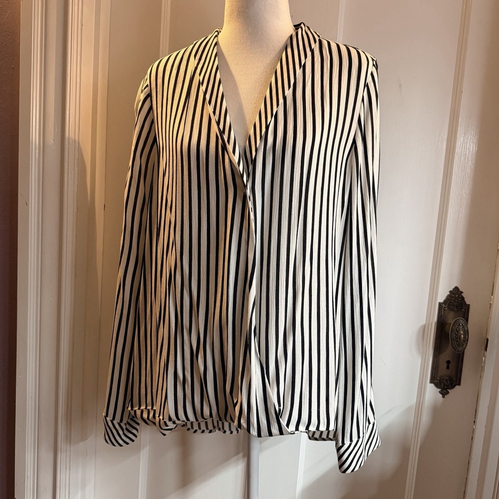 Zara Stripe V-neck Blouse Women's Large